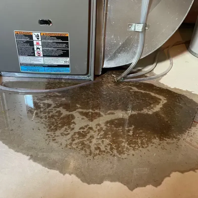 Appliance Leak Cleanup in Osceola, MO